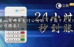 星pos是哪家支付公司的（中国十大支付公司排名）缩略图