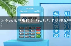 怎么查pos机哪用的多（pos机刷卡明细在哪里查）缩略图