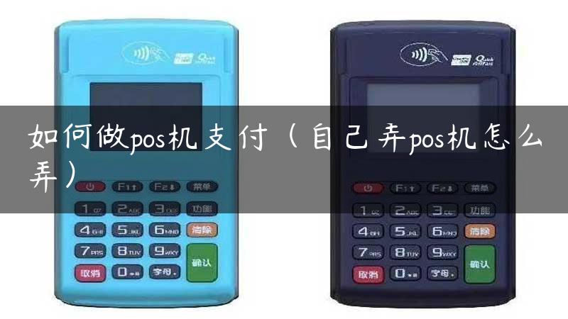 如何做pos机支付（自己弄pos机怎么弄）