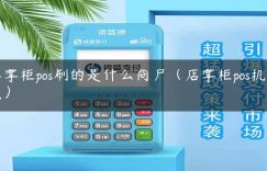 店掌柜pos刷的是什么商户（店掌柜pos机缺点）缩略图