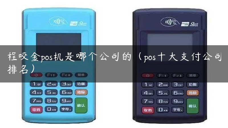 程咬金pos机是哪个公司的（pos十大支付公司排名）