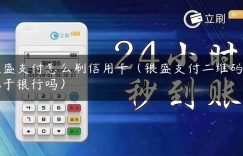 银盛支付怎么刷信用卡（银盛支付二维码是属于银行吗）缩略图