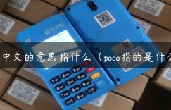 pos中文的意思指什么（poco指的是什么）缩略图