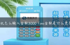 pos机怎么输入金额3000（pos金额是什么意思）缩略图