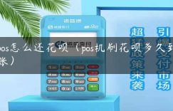 pos怎么还花呗（pos机刷花呗多久到账）缩略图