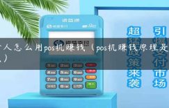 个人怎么用pos机赚钱（pos机赚钱原理是什么）缩略图