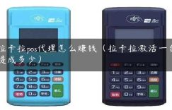 拉卡拉pos代理怎么赚钱（拉卡拉激活一台提成多少）缩略图