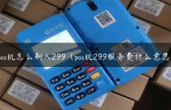 pos机怎么刷入299（pos机299服务费什么意思）缩略图