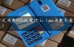 一次消费POS机是什么（pos消费不是本人）缩略图