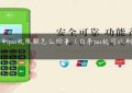 白条刷pos机限额怎么回事（白条pos机可以刷出来吗）缩略图