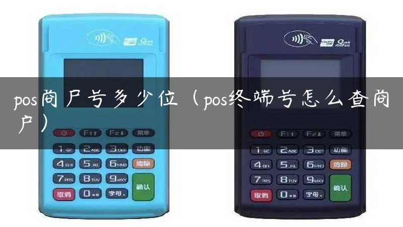 pos商户号多少位（pos终端号怎么查商户）