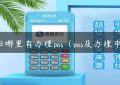 沈阳哪里有办理pos（pos及办理申请）缩略图