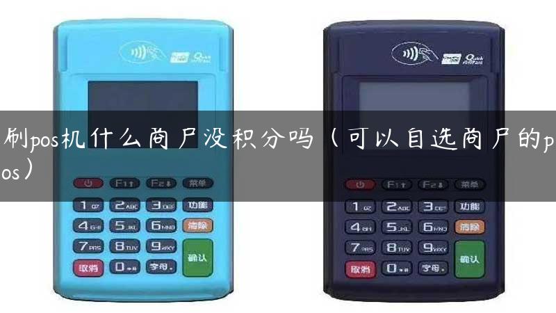 刷pos机什么商户没积分吗（可以自选商户的pos）