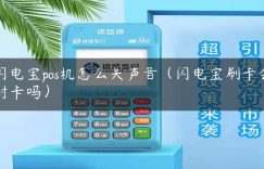 闪电宝pos机怎么关声音（闪电宝刷卡会封卡吗）缩略图