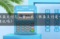 银盛支付怎么查pos机（银盛支付是一清机吗）缩略图