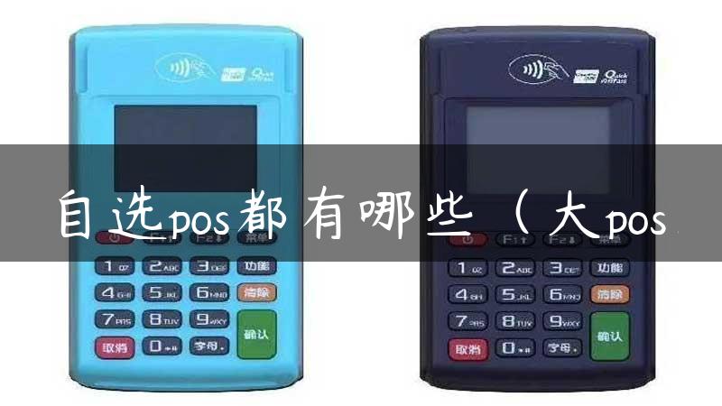 自选pos都有哪些（大pos）