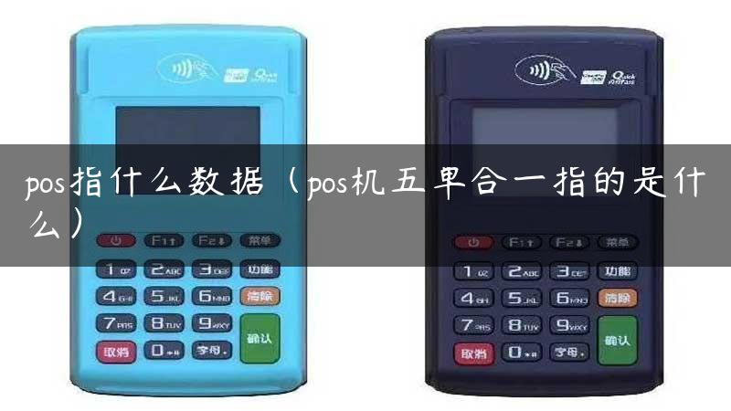 pos指什么数据（pos机五单合一指的是什么）