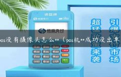 pos没有摄像头怎么**（pos机**成功没出单）缩略图