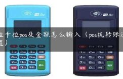 拉卡拉pos及金额怎么输入（pos机转账流程）缩略图