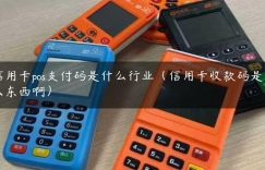 信用卡pos支付码是什么行业（信用卡收款码是什么东西啊）缩略图