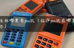 桂林哪里有pos机（拉萨pos机在哪里办）缩略图