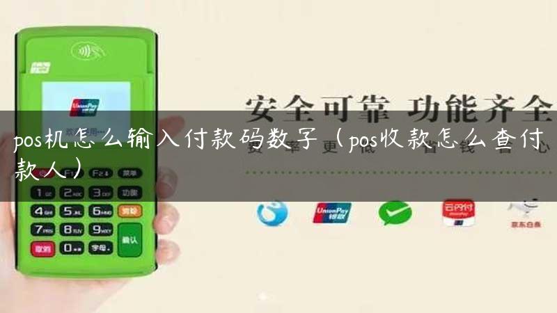 pos机怎么输入付款码数字（pos收款怎么查付款人）