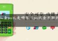 怎么查pos机是哪家（pos机查余额的危害）缩略图