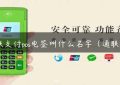 通联支付pos电签叫什么名字（通联ipay）缩略图