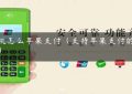 pos机怎么苹果支付（支持苹果支付的pos机）缩略图