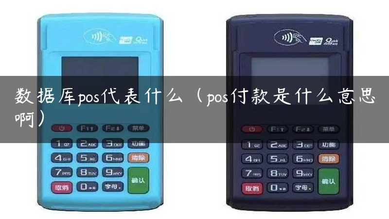 数据库pos代表什么（pos付款是什么意思啊）