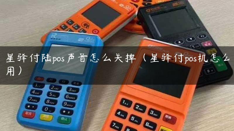 星驿付陆pos声音怎么关掉（星驿付pos机怎么用）