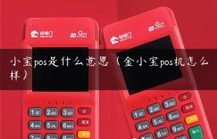 小宝pos是什么意思（金小宝pos机怎么样）缩略图