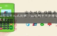 pos怎么不试试到账（pos机刷卡不到账谁负责）缩略图