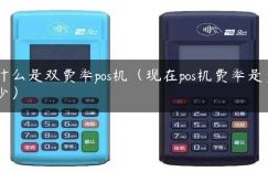 什么是双费率pos机（现在pos机费率是多少）缩略图