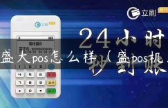 盛大pos怎么样（盛pos机）缩略图