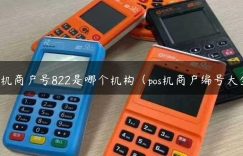 pos机商户号822是哪个机构（pos机商户编号大全）缩略图