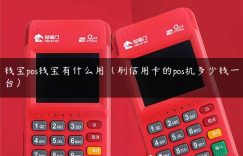 钱宝pos钱宝有什么用（刷信用卡的pos机多少钱一台）缩略图