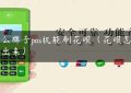 什么牌子pos机能刷花呗（花呗怎么刷出来）缩略图