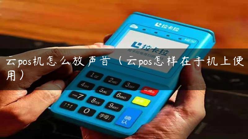 云pos机怎么放声音（云pos怎样在手机上使用）