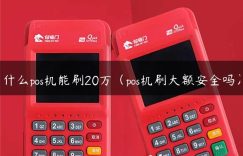 什么pos机能刷20万（pos机刷大额安全吗）缩略图