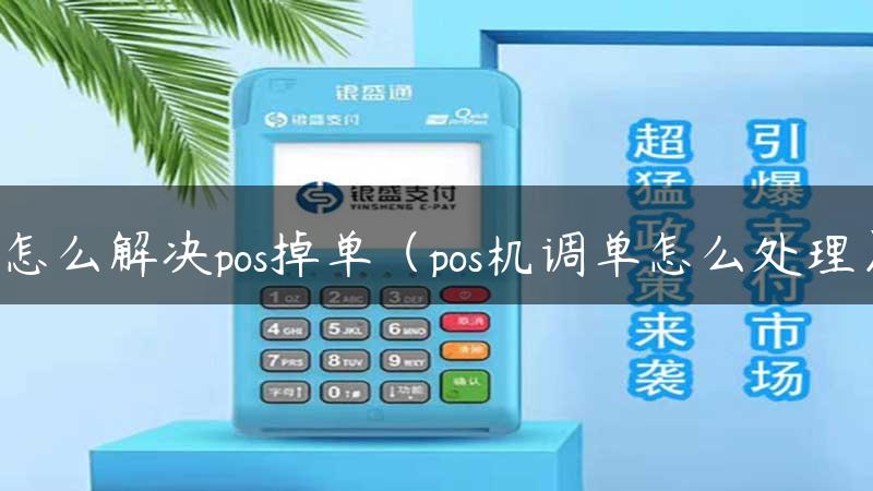 怎么解决pos掉单（pos机调单怎么处理）