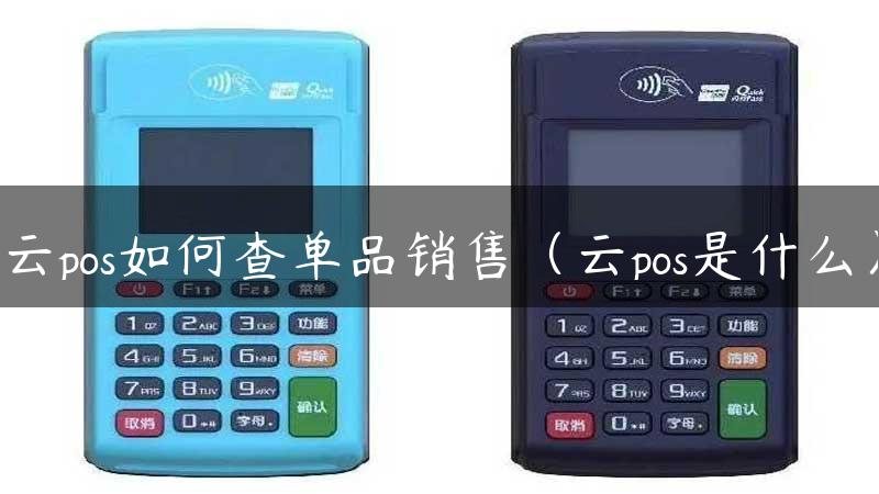 云pos如何查单品销售（云pos是什么）