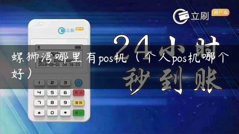 螺狮湾哪里有pos机（个人pos机哪个好）