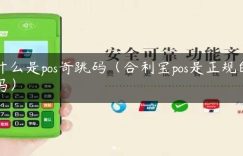 什么是pos寄跳码（合利宝pos是正规的吗）缩略图