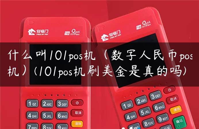 什么叫101pos机（数字人民币pos机）(101pos机刷美金是真的吗)