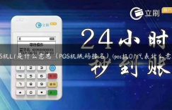 POS机L1是什么意思（POS机跳码排名）(pos机01代表什么意思)缩略图