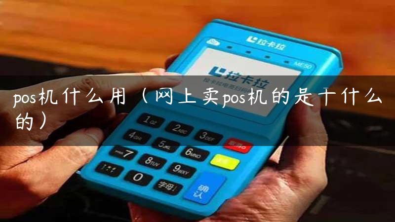 pos机什么用（网上卖pos机的是干什么的）