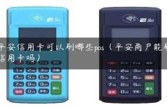 平安信用卡可以刷哪些pos（平安商户能刷信用卡吗）缩略图