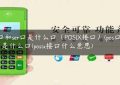 pos口和ser口是什么口（POSIX接口）(pos口和ser口是什么口(posix接口什么意思)缩略图