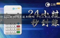 为什么pos机扫码不能刷花呗（可以刷花呗的pos机吗）缩略图